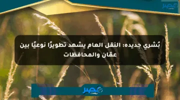 بُشرى جديدة: النقل العام يشهد تطويرًا نوعيًا بين عمّان والمحافظات